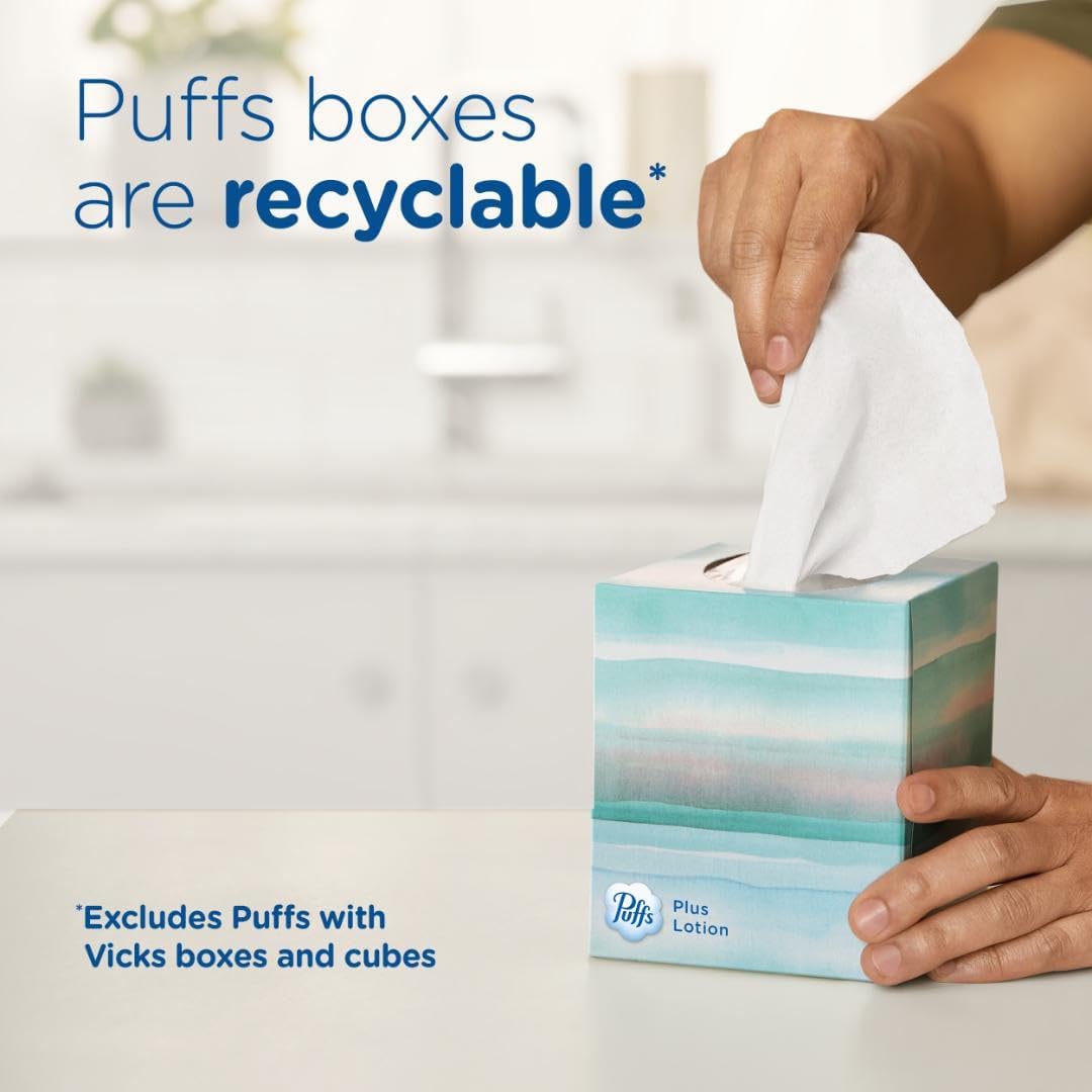 plus Lotion Facial Tissue, 1 Family Box, 124 Tissues per Box