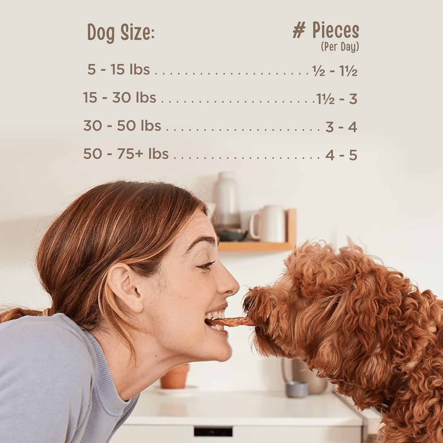 Chicken Jerky Healthy All Natural Dog Treats Human Grade for Hip and Joint 12 Oz