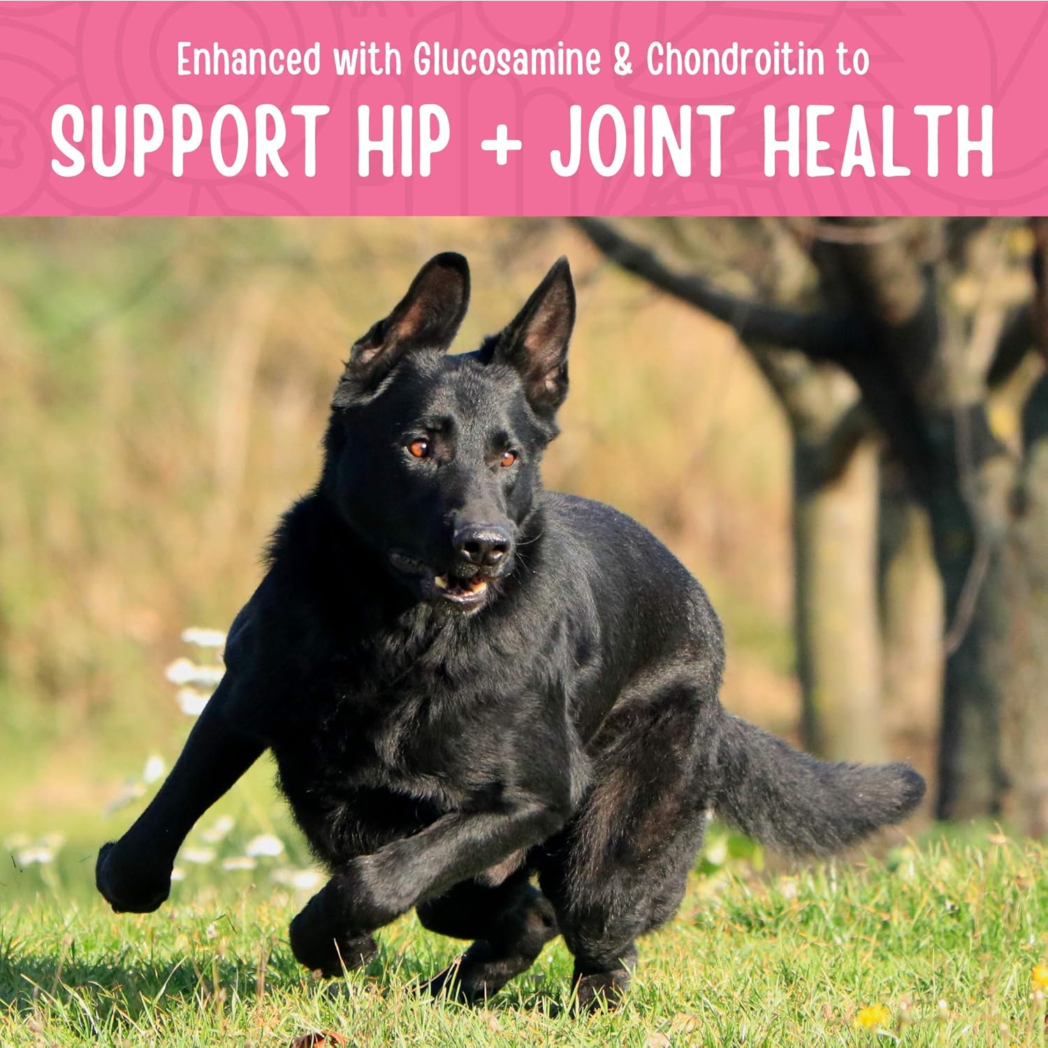 Chicken Jerky Healthy All Natural Dog Treats Human Grade for Hip and Joint 12 Oz