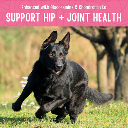 Chicken Jerky Healthy All Natural Dog Treats Human Grade for Hip and Joint 12 Oz