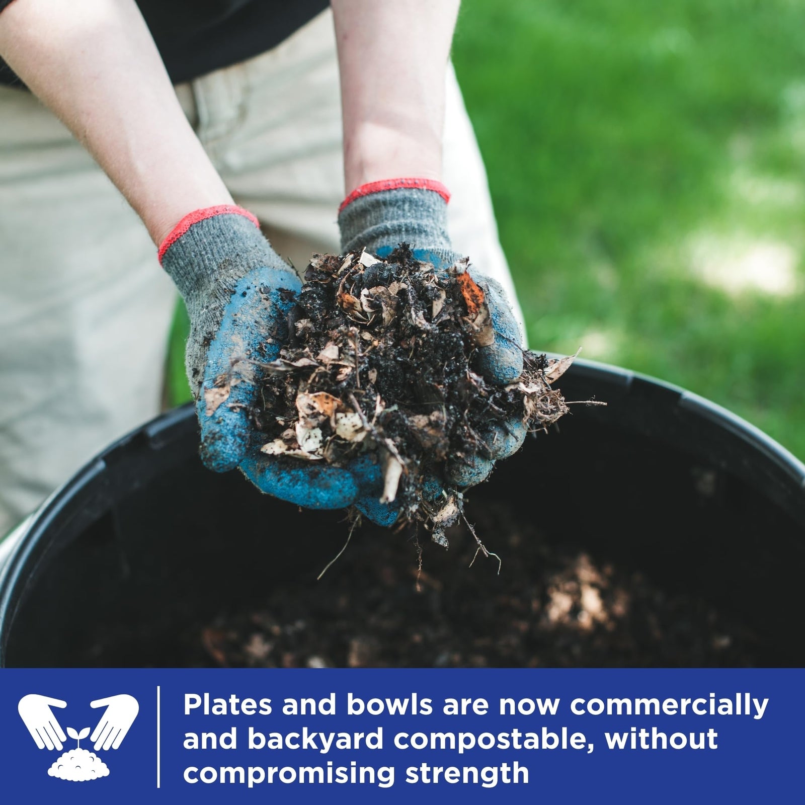 Ebay Plate Dixie Ultra 10 Inch Heavy Duty Paper Plates 100 Count Soak Proof Microwave Safe