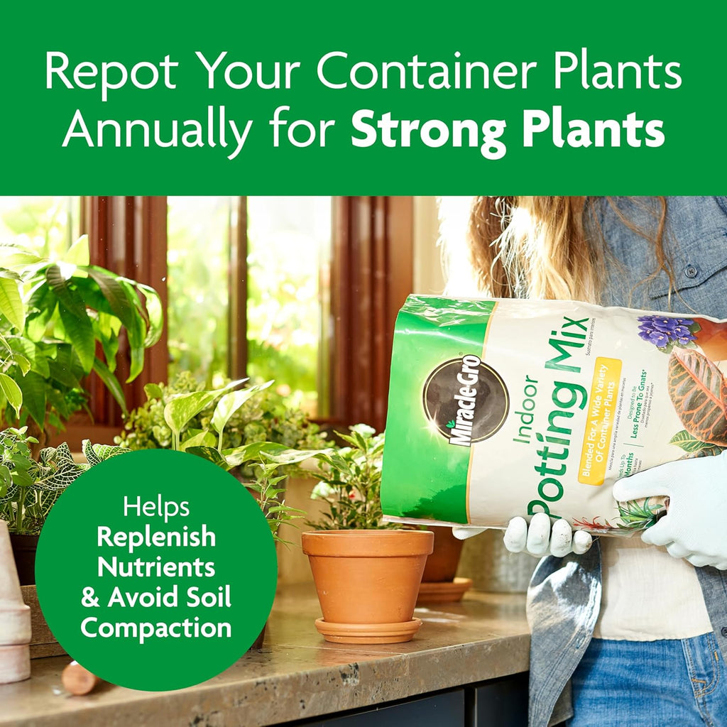 Indoor Potting Mix, Blended for a Variety of Houseplants, Feeds for up to 6 Months, 6 Qt., 2-Pack