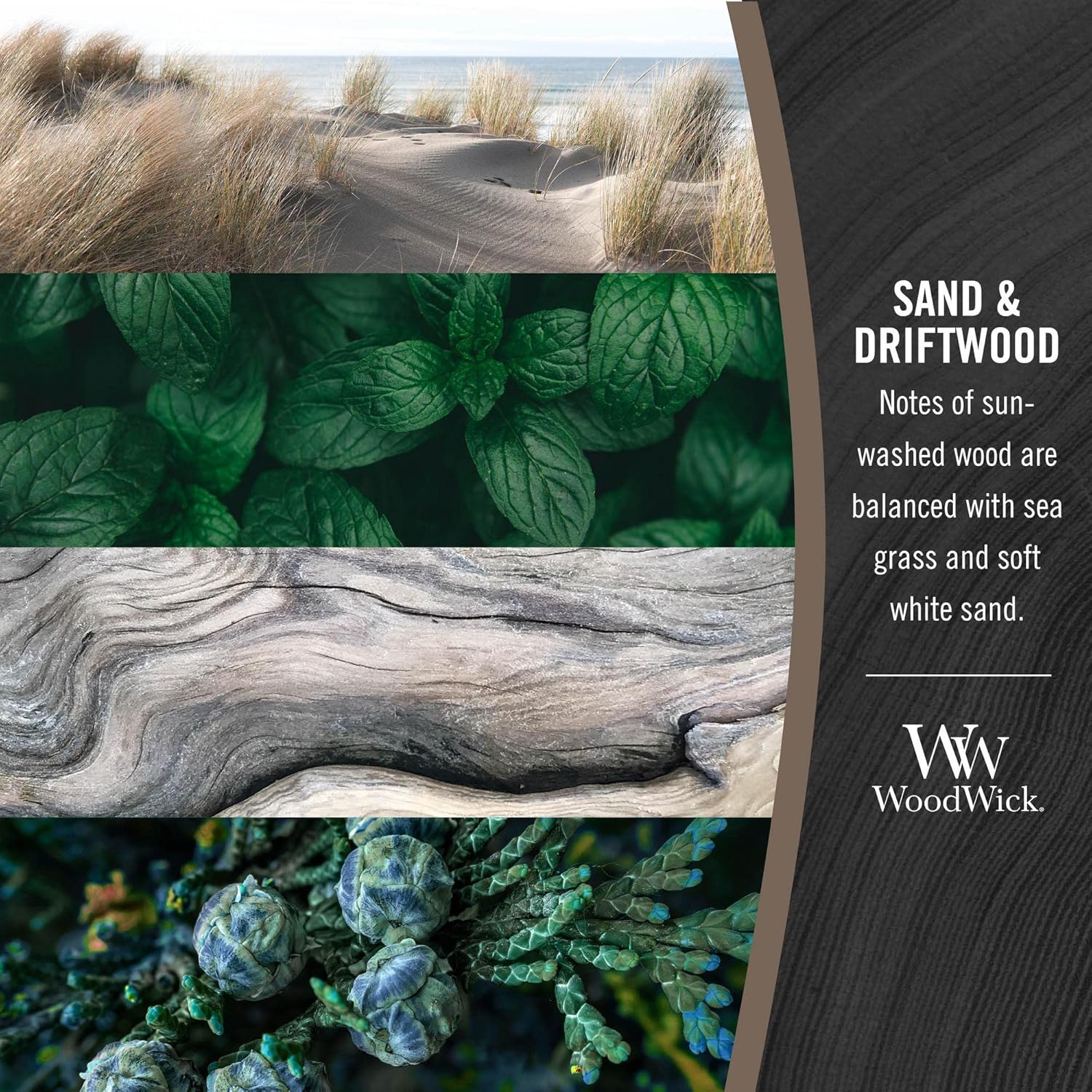 Large Hourglass Candle Sand/Driftwood - Premium Soy Blend Wax Pluswick Innovation Wood Wick Made in USA