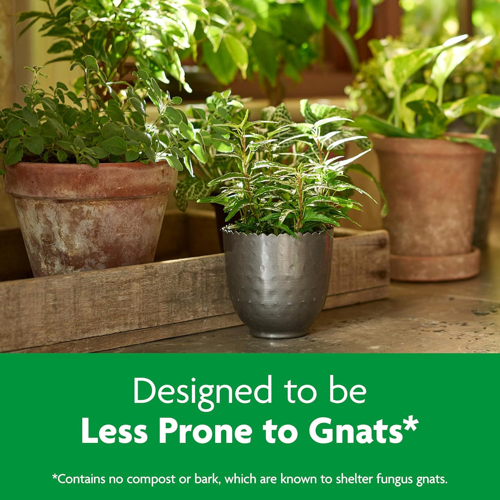 Indoor Potting Mix, Blended for a Variety of Houseplants, Feeds for up to 6 Months, 6 Qt., 2-Pack