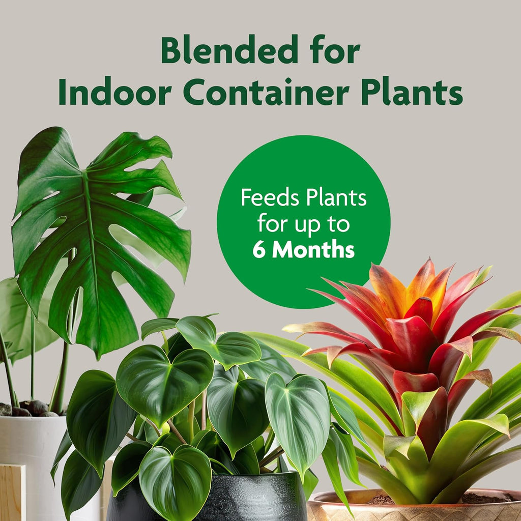 Indoor Potting Mix, Blended for a Variety of Houseplants, Feeds for up to 6 Months, 6 Qt., 2-Pack