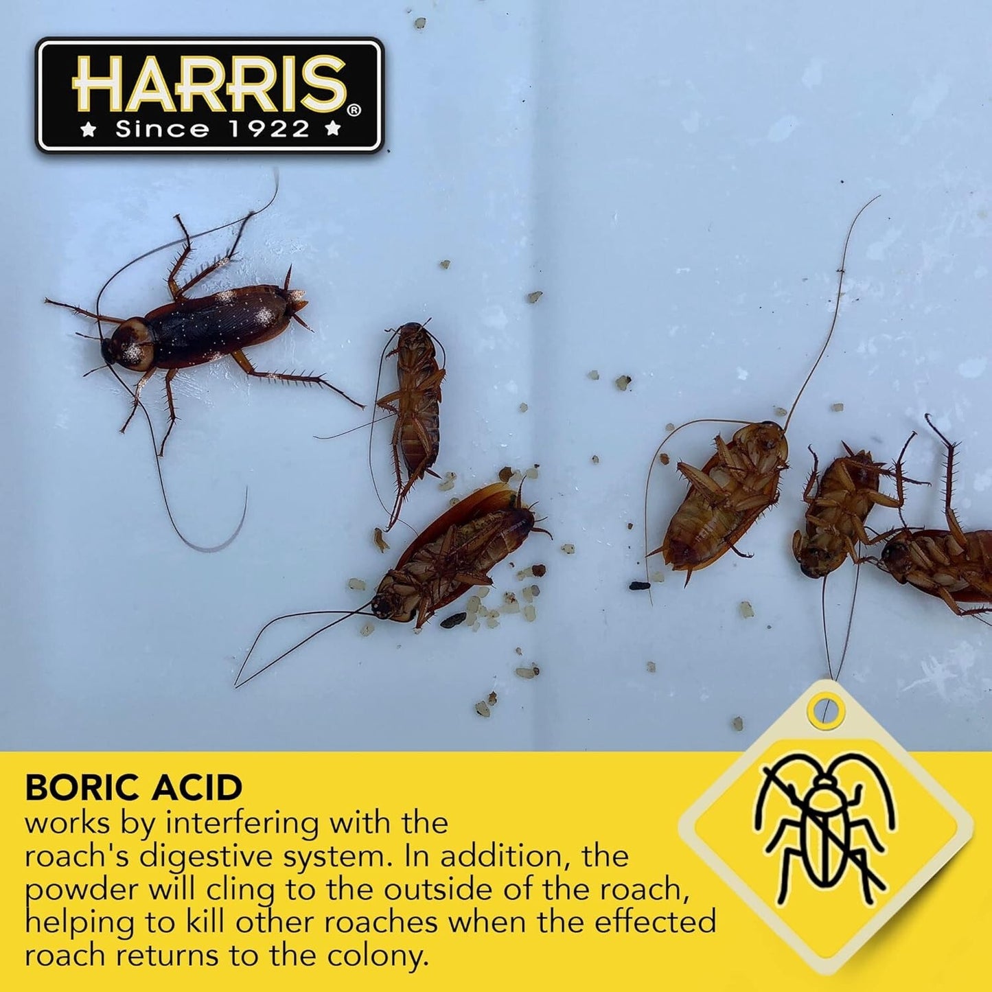 HARRIS Boric Acid Roach and Silverfish Killer Powder W/Lure for Insects (16Oz)