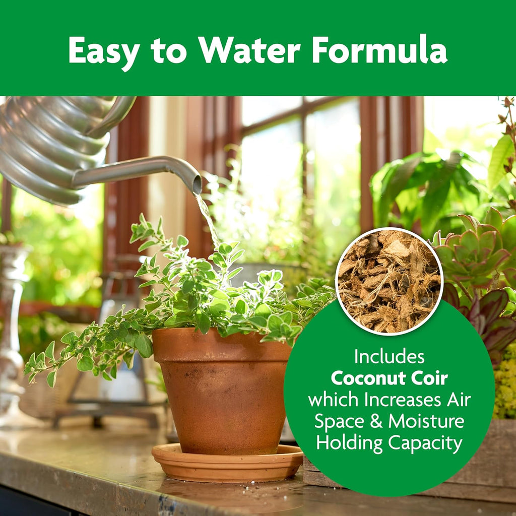 Indoor Potting Mix, Blended for a Variety of Houseplants, Feeds for up to 6 Months, 6 Qt., 2-Pack