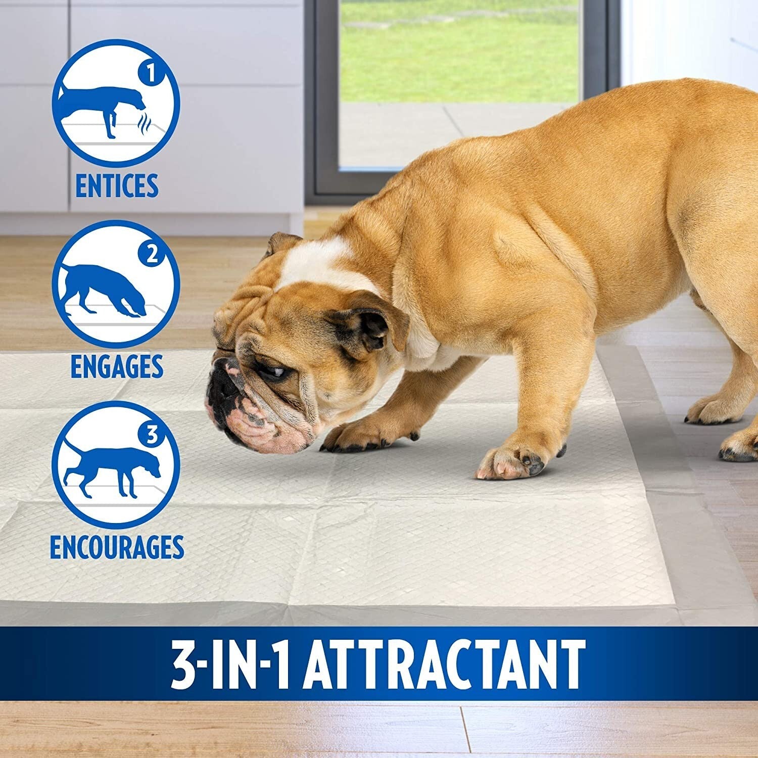 OUT Heavy Duty XXL Dog Pads - 30 Count